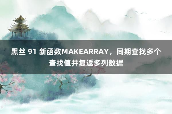 黑丝 91 新函数MAKEARRAY，同期查找多个查找值并复返多列数据