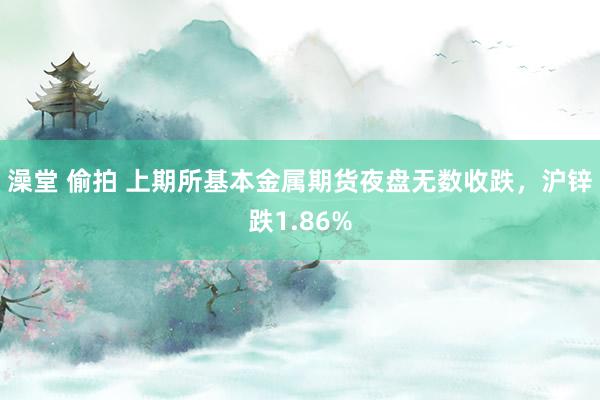 澡堂 偷拍 上期所基本金属期货夜盘无数收跌，沪锌跌1.86%