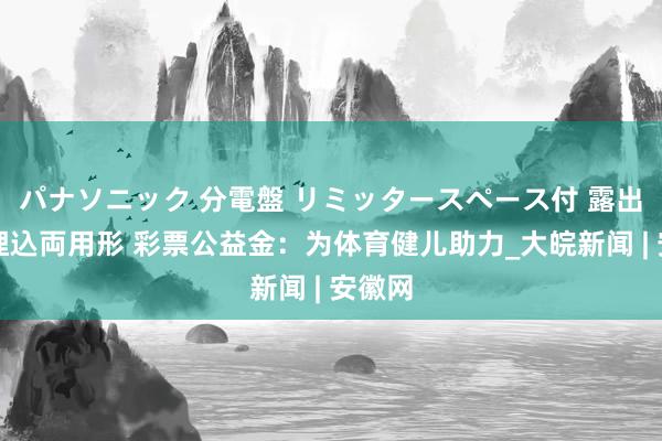 パナソニック 分電盤 リミッタースペース付 露出・半埋込両用形 彩票公益金：为体育健儿助力_大皖新闻 | 安徽网