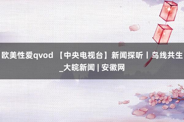 欧美性爱qvod 【中央电视台】新闻探听丨鸟线共生_大皖新闻 | 安徽网