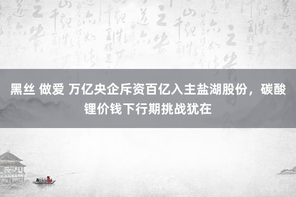 黑丝 做爱 万亿央企斥资百亿入主盐湖股份，碳酸锂价钱下行期挑战犹在