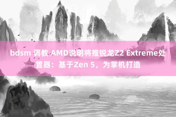 bdsm 调教 AMD说明将推锐龙Z2 Extreme处置器：基于Zen 5，为掌机打造