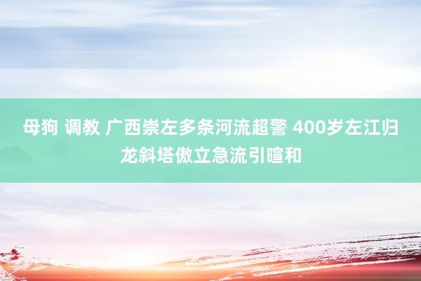 母狗 调教 广西崇左多条河流超警 400岁左江归龙斜塔傲立急流引暄和