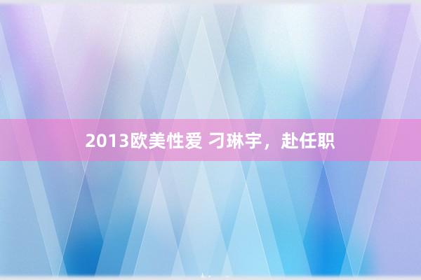 2013欧美性爱 刁琳宇，赴任职