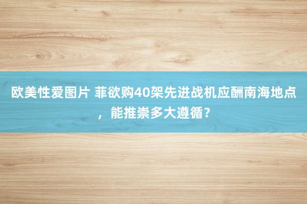 欧美性爱图片 菲欲购40架先进战机应酬南海地点，能推崇多大遵循？