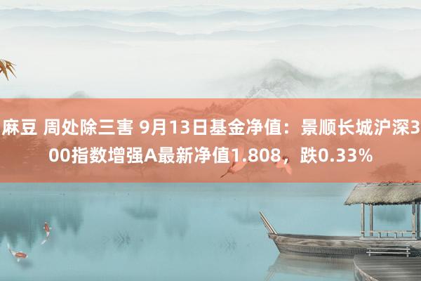 麻豆 周处除三害 9月13日基金净值：景顺长城沪深300指数增强A最新净值1.808，跌0.33%