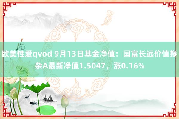 欧美性爱qvod 9月13日基金净值：国富长远价值搀杂A最新净值1.5047，涨0.16%