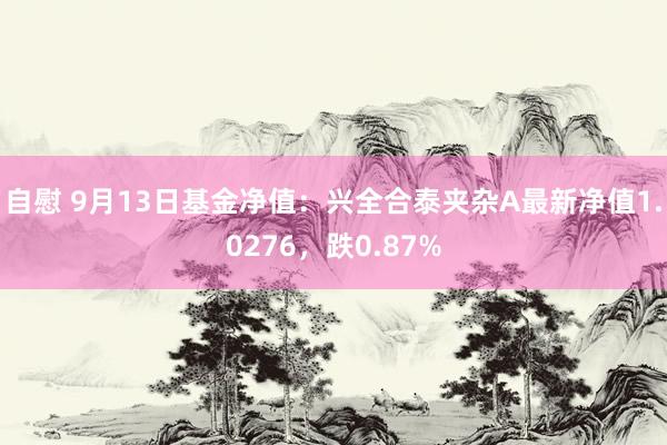 自慰 9月13日基金净值：兴全合泰夹杂A最新净值1.0276，跌0.87%