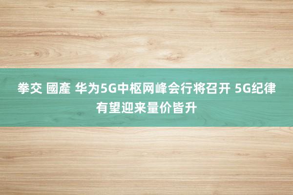 拳交 國產 华为5G中枢网峰会行将召开 5G纪律有望迎来量价皆升