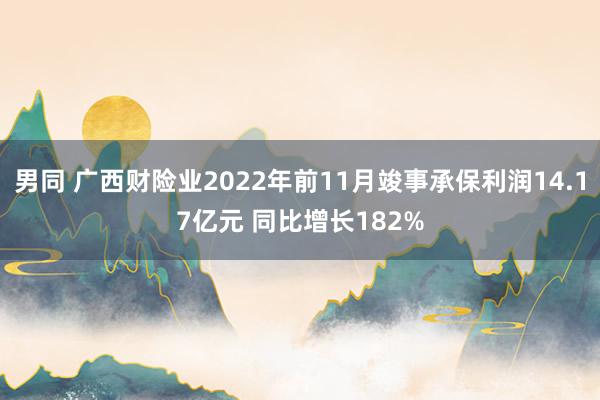 男同 广西财险业2022年前11月竣事承保利润14.17亿元 同比增长182%