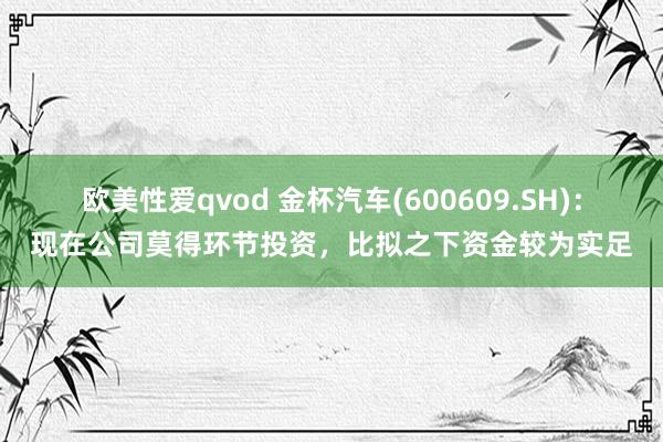 欧美性爱qvod 金杯汽车(600609.SH)：现在公司莫得环节投资，比拟之下资金较为实足