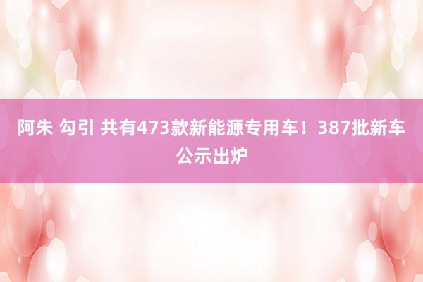 阿朱 勾引 共有473款新能源专用车！387批新车公示出炉