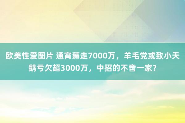 欧美性爱图片 通宵薅走7000万，羊毛党或致小天鹅亏欠超3000万，中招的不啻一家？