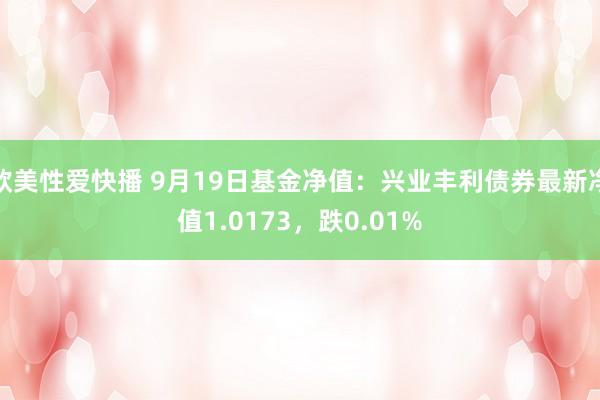 欧美性爱快播 9月19日基金净值：兴业丰利债券最新净值1.0173，跌0.01%