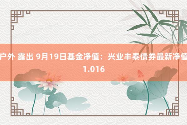 户外 露出 9月19日基金净值：兴业丰泰债券最新净值1.016