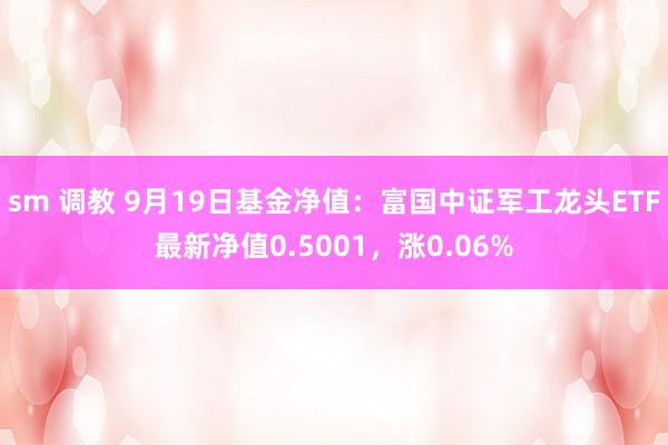 sm 调教 9月19日基金净值：富国中证军工龙头ETF最新净值0.5001，涨0.06%