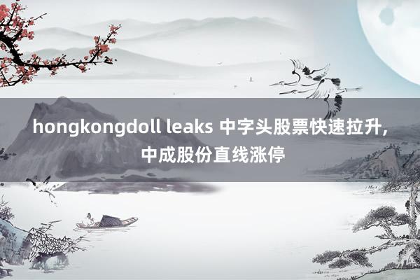 hongkongdoll leaks 中字头股票快速拉升， 中成股份直线涨停