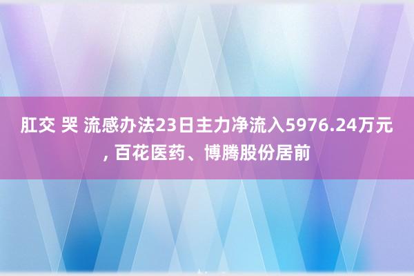 肛交 哭 流感办法23日主力净流入5976.24万元， 百花医药、博腾股份居前