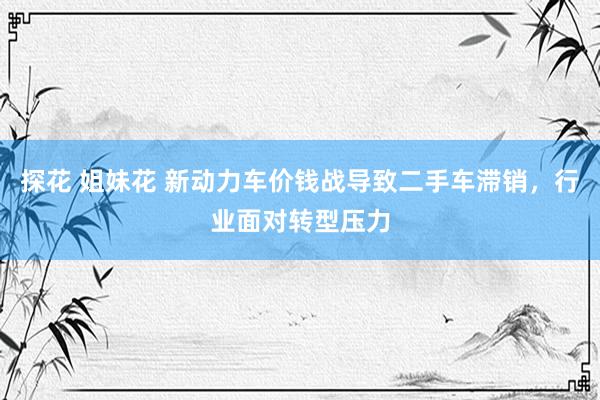 探花 姐妹花 新动力车价钱战导致二手车滞销，行业面对转型压力