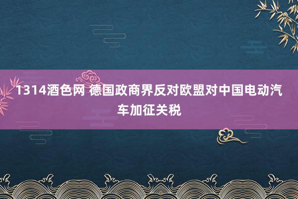 1314酒色网 德国政商界反对欧盟对中国电动汽车加征关税