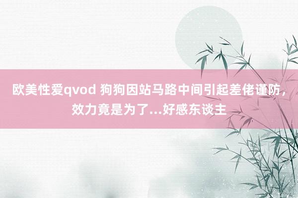 欧美性爱qvod 狗狗因站马路中间引起差佬谨防，效力竟是为了...好感东谈主