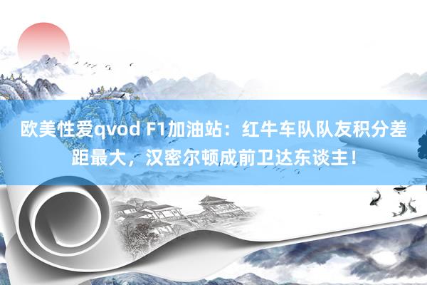 欧美性爱qvod F1加油站：红牛车队队友积分差距最大，汉密尔顿成前卫达东谈主！