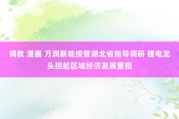 调教 漫画 万润新能接管湖北省指导调研 锂电龙头担起区域经济发展重担