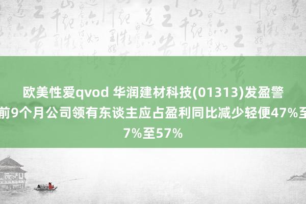 欧美性爱qvod 华润建材科技(01313)发盈警 预期前9个月公司领有东谈主应占盈利同比减少轻便47%至57%