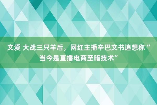 文爱 大战三只羊后，网红主播辛巴文书追想称“当今是直播电商至暗技术”