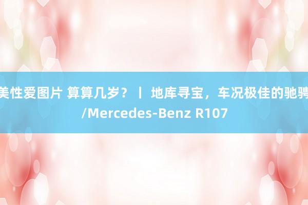 欧美性爱图片 算算几岁？丨 地库寻宝，车况极佳的驰骋SL/Mercedes-Benz R107