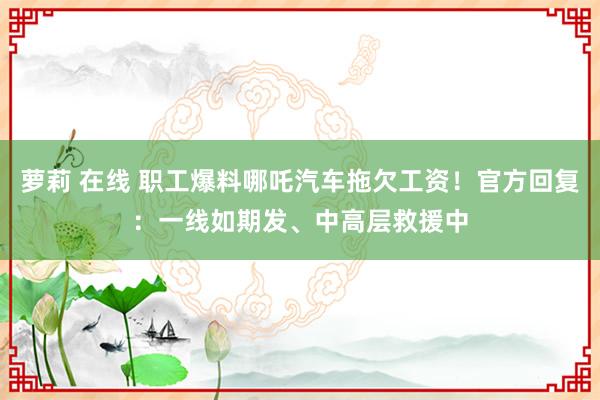 萝莉 在线 职工爆料哪吒汽车拖欠工资！官方回复：一线如期发、中高层救援中