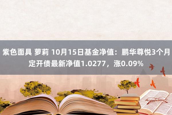 紫色面具 萝莉 10月15日基金净值：鹏华尊悦3个月定开债最新净值1.0277，涨0.09%