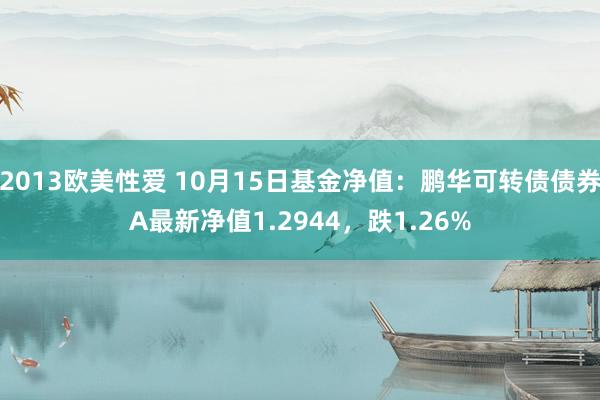 2013欧美性爱 10月15日基金净值：鹏华可转债债券A最新净值1.2944，跌1.26%