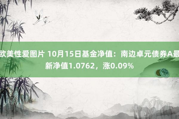 欧美性爱图片 10月15日基金净值：南边卓元债券A最新净值1.0762，涨0.09%