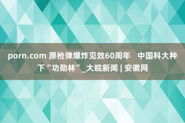 porn.com 原枪弹爆炸见效60周年   中国科大种下“功勋林”_大皖新闻 | 安徽网