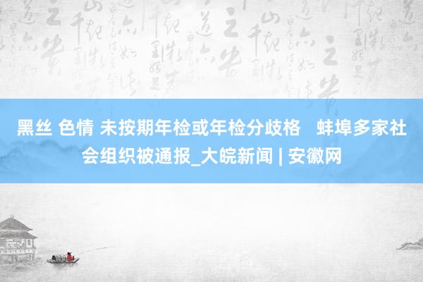 黑丝 色情 未按期年检或年检分歧格   蚌埠多家社会组织被通报_大皖新闻 | 安徽网