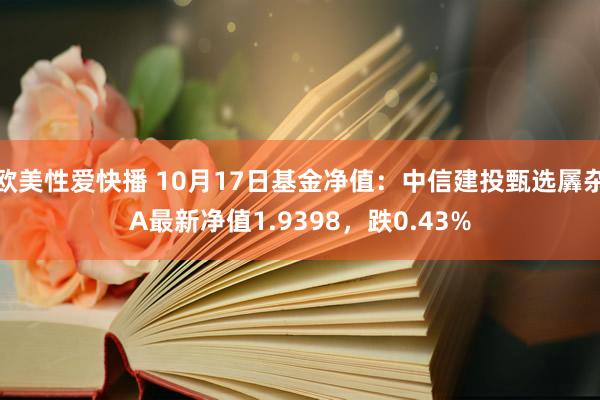 欧美性爱快播 10月17日基金净值：中信建投甄选羼杂A最新净值1.9398，跌0.43%