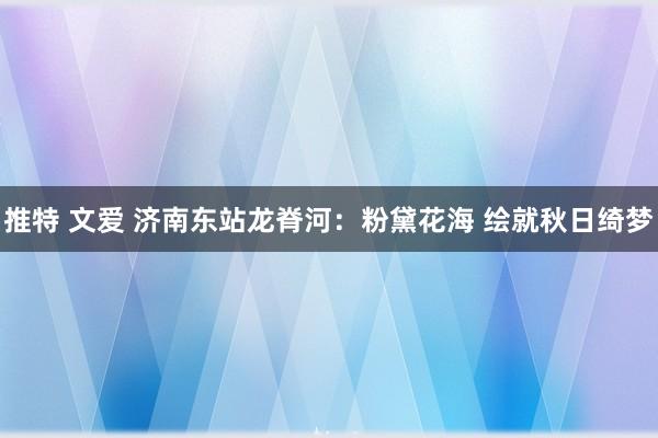 推特 文爱 济南东站龙脊河：粉黛花海 绘就秋日绮梦