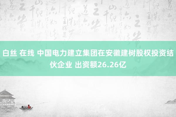 白丝 在线 中国电力建立集团在安徽建树股权投资结伙企业 出资额26.26亿