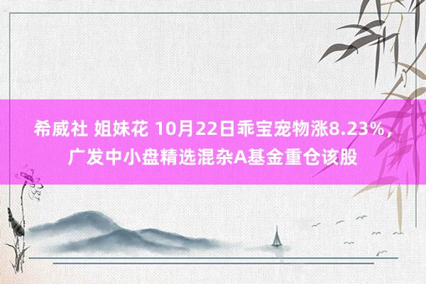 希威社 姐妹花 10月22日乖宝宠物涨8.23%，广发中小盘精选混杂A基金重仓该股