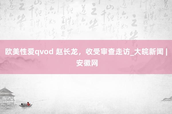 欧美性爱qvod 赵长龙，收受审查走访_大皖新闻 | 安徽网