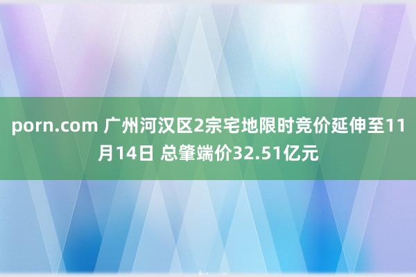 porn.com 广州河汉区2宗宅地限时竞价延伸至11月14日 总肇端价32.51亿元