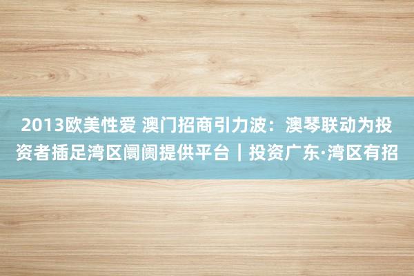 2013欧美性爱 澳门招商引力波：澳琴联动为投资者插足湾区阛阓提供平台｜投资广东·湾区有招