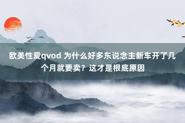 欧美性爱qvod 为什么好多东说念主新车开了几个月就要卖？这才是根底原因