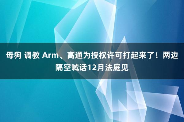 母狗 调教 Arm、高通为授权许可打起来了！两边隔空喊话12月法庭见