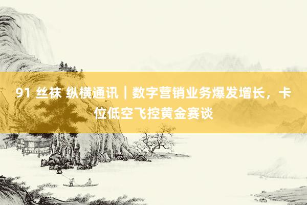 91 丝袜 纵横通讯︱数字营销业务爆发增长，卡位低空飞控黄金赛谈