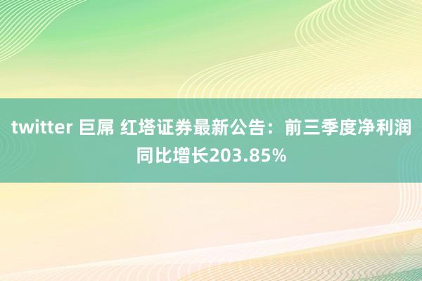 twitter 巨屌 红塔证券最新公告：前三季度净利润同比增长203.85%