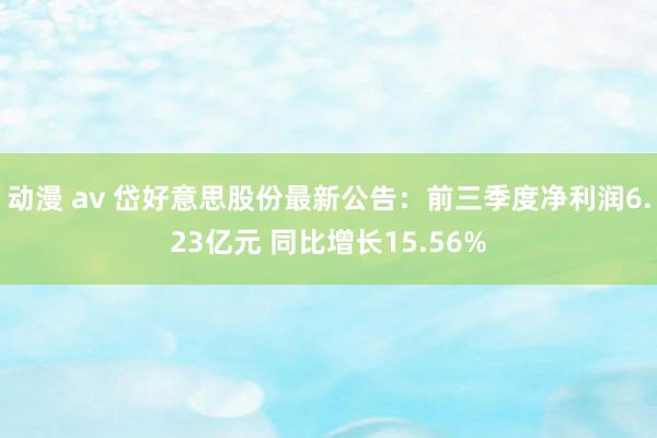 动漫 av 岱好意思股份最新公告：前三季度净利润6.23亿元 同比增长15.56%