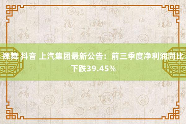 裸舞 抖音 上汽集团最新公告：前三季度净利润同比下跌39.45%