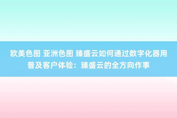 欧美色图 亚洲色图 臻盛云如何通过数字化器用普及客户体验：臻盛云的全方向作事